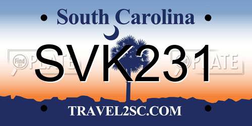 SVK231 South Carolina License Plate