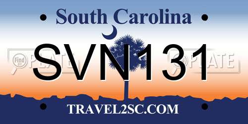 SVN131 South Carolina License Plate