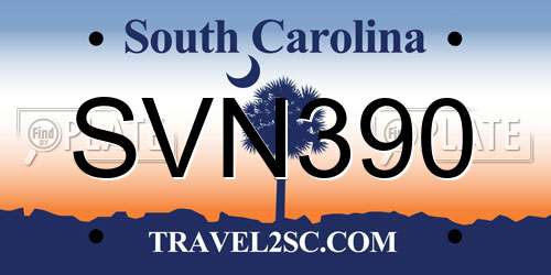 SVN390 South Carolina License Plate