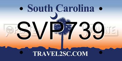 SVP739 South Carolina License Plate
