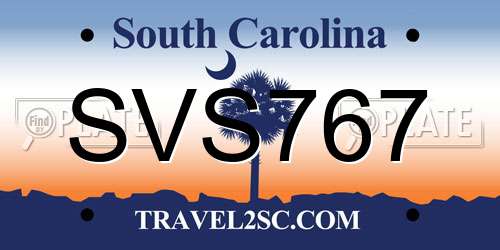 SVS767 South Carolina License Plate