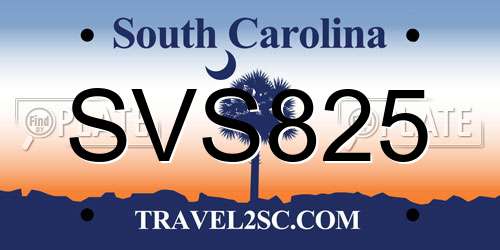 SVS825 South Carolina License Plate