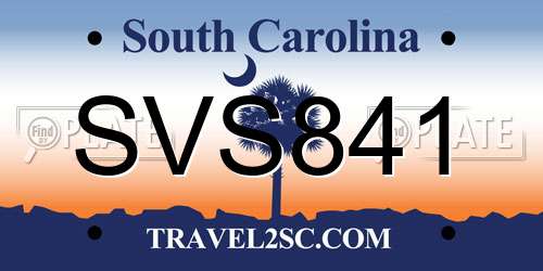 SVS841 South Carolina License Plate