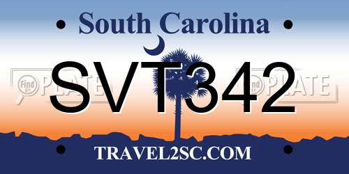 SVT342 South Carolina License Plate