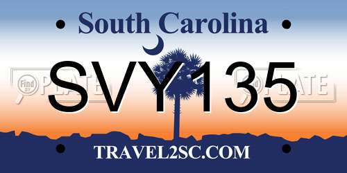 SVY135 South Carolina License Plate