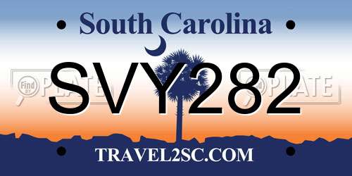 SVY282 South Carolina License Plate