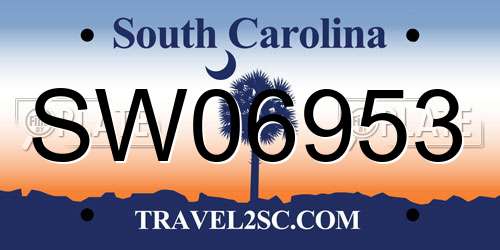 SW06953 South Carolina License Plate