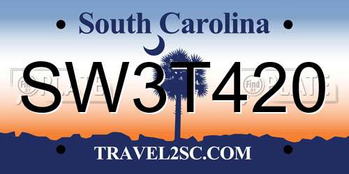 SW3T420 South Carolina License Plate