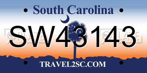 SW43143 South Carolina License Plate