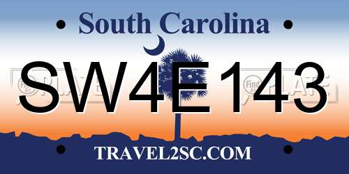 SW4E143 South Carolina License Plate