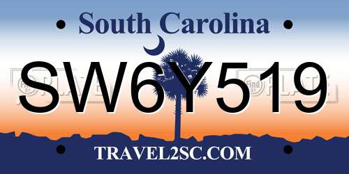 SW6Y519 South Carolina License Plate