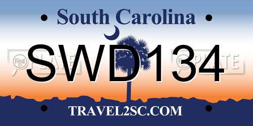 SWD134 South Carolina License Plate