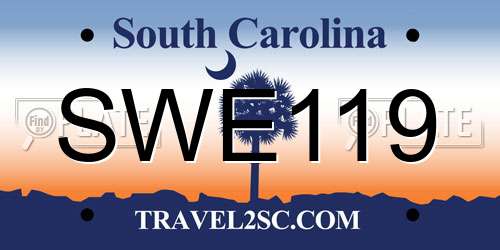 SWE119 South Carolina License Plate