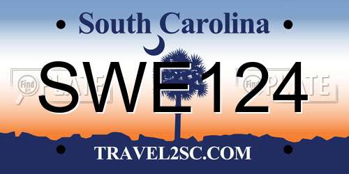 SWE124 South Carolina License Plate
