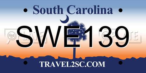 SWE139 South Carolina License Plate