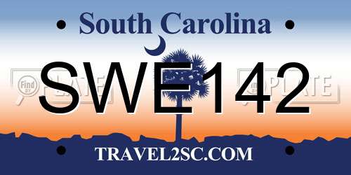 SWE142 South Carolina License Plate