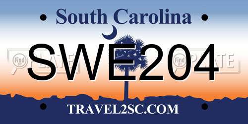 SWE204 South Carolina License Plate