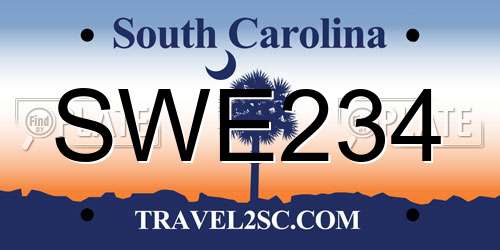 SWE234 South Carolina License Plate