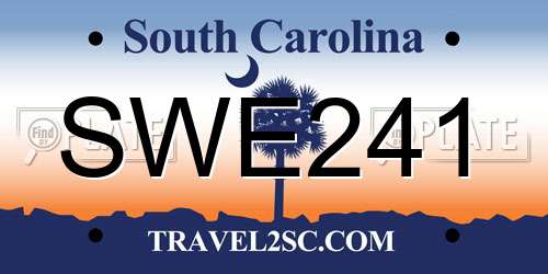 SWE241 South Carolina License Plate