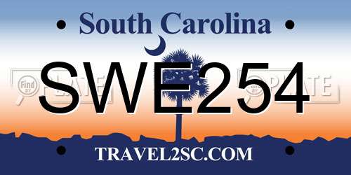 SWE254 South Carolina License Plate