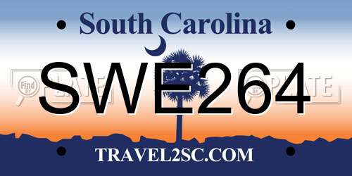 SWE264 South Carolina License Plate