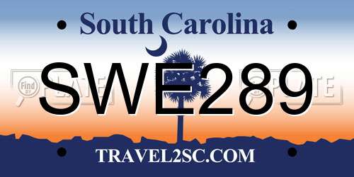 SWE289 South Carolina License Plate