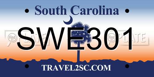 SWE301 South Carolina License Plate