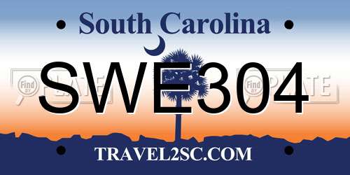 SWE304 South Carolina License Plate