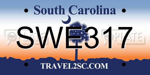 SWE317 South Carolina License Plate