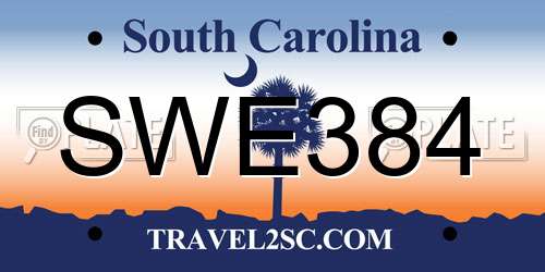 SWE384 South Carolina License Plate