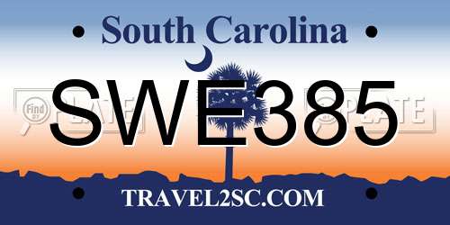SWE385 South Carolina License Plate