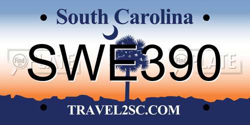 SWE390 South Carolina License Plate