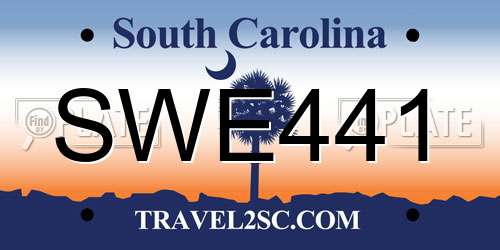 SWE441 South Carolina License Plate