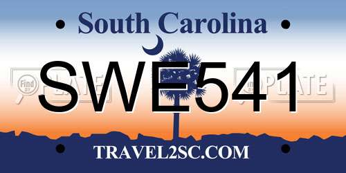 SWE541 South Carolina License Plate