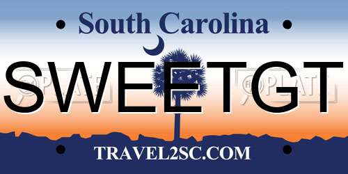 SWEETGT South Carolina License Plate