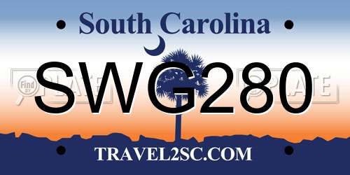 SWG280 South Carolina License Plate