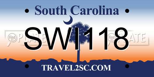 SWI118 South Carolina License Plate