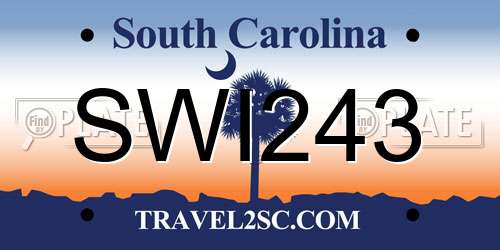 SWI243 South Carolina License Plate
