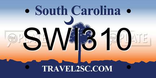 SWI310 South Carolina License Plate