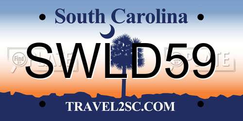 SWLD59 South Carolina License Plate