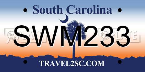 SWM233 South Carolina License Plate