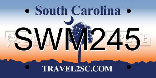 SWM245 South Carolina License Plate