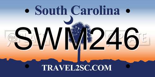 SWM246 South Carolina License Plate