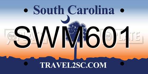 SWM601 South Carolina License Plate