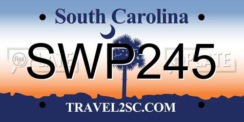 SWP245 South Carolina License Plate