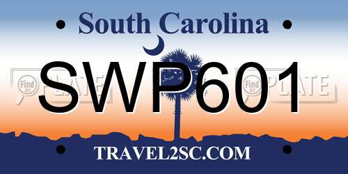 SWP601 South Carolina License Plate