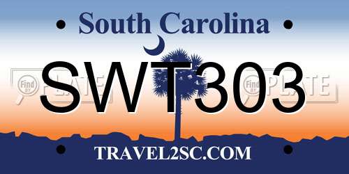 SWT303 South Carolina License Plate