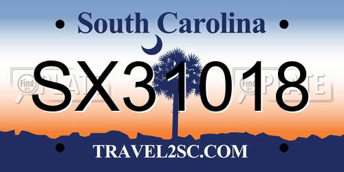 SX31018 South Carolina License Plate