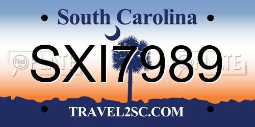 SXI7989 South Carolina License Plate