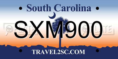 SXM900 South Carolina License Plate